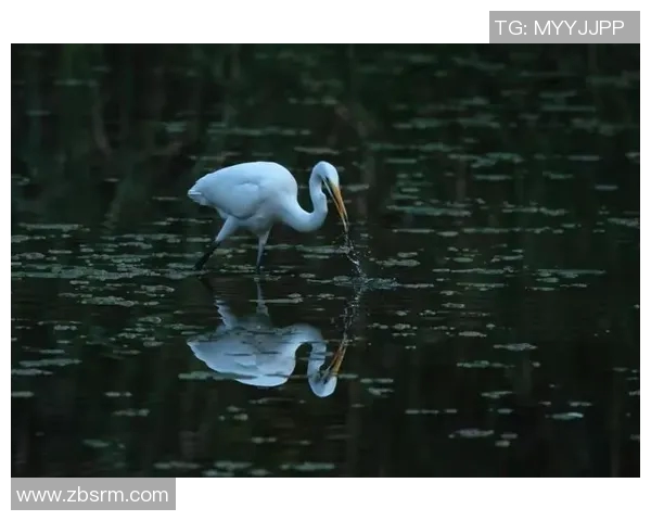 像倒水般流畅的控球艺术从水流之韵看足球球星的灵动之美